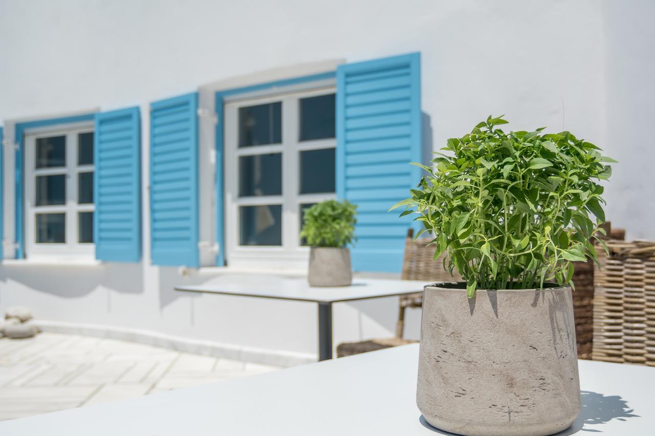 Capo Di Mykonos Resort Agios Ioannis Diakoftis 외부 사진