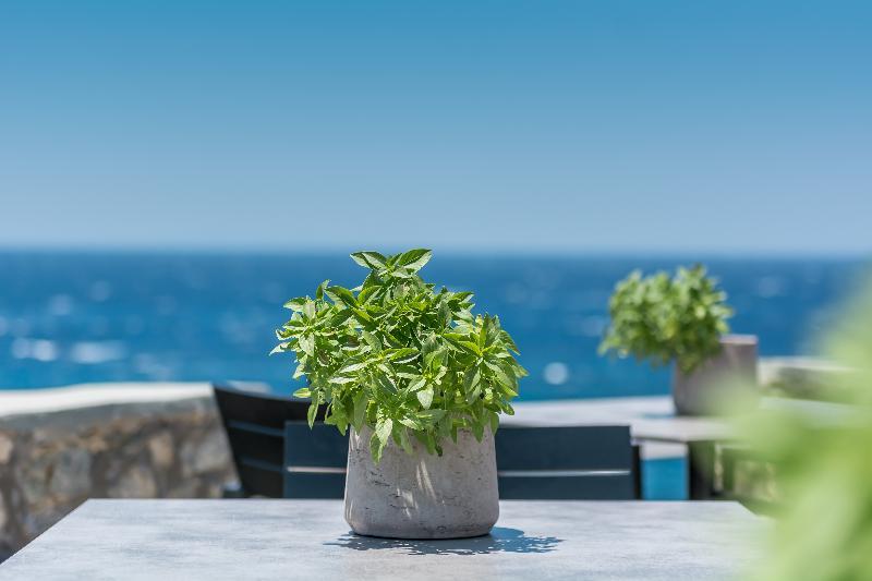 Capo Di Mykonos Resort Agios Ioannis Diakoftis 외부 사진